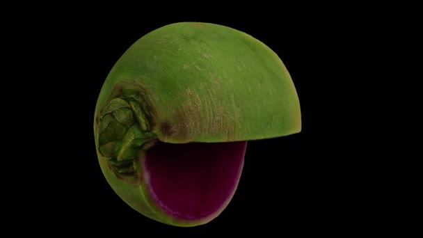 在透明背景 上的旋转切西瓜萝卜的真实感渲染 视频是无缝循环的 3D对象是由一个真正的萝卜扫描的 — 图库视频影像