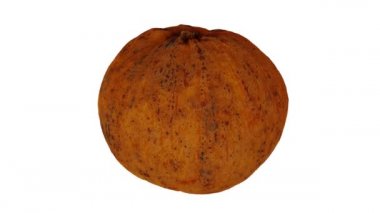 Beyaz arka planda dönen bir Santol 'un (Cotton Fruit) gerçekçi canlandırması. Video kusursuz bir şekilde döngüye giriyor ve üç boyutlu nesne gerçek bir Noel Baba 'dan taranıyor..