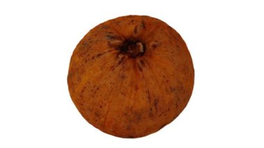 Beyaz arka planda yuvarlanan bir Santol 'un (Cotton Fruit) gerçekçi canlandırması. Video kusursuz bir şekilde döngüye giriyor ve üç boyutlu nesne gerçek bir Noel Baba 'dan taranıyor..