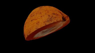 Dönen bir Santol 'un (Cotton Fruit) gerçekçi canlandırması siyah arkaplanda ikiye bölünmüş. Video kusursuz bir şekilde döngüye giriyor ve üç boyutlu nesne gerçek bir Noel Baba 'dan taranıyor..