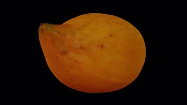 Şeffaf arkaplanda (alfa kanalı ile) dönen bir Canistel 'in (yumurta meyvesi, Tisa) gerçekçi canlandırması. Video kusursuz bir şekilde döngüye giriyor ve üç boyutlu nesne gerçek bir kutudan taranıyor..