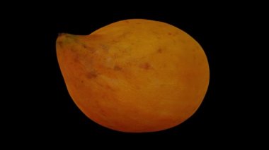 Siyah zemin üzerinde dönen bir Canistel 'in (Yumurta Meyvesi, Tisa) gerçekçi canlandırması. Video kusursuz bir şekilde döngüye giriyor ve üç boyutlu nesne gerçek bir kutudan taranıyor..