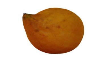 Beyaz arka planda dönen bir Canistel 'in (Yumurta Meyvesi, Tisa) gerçekçi canlandırması. Video kusursuz bir şekilde döngüye giriyor ve üç boyutlu nesne gerçek bir kutudan taranıyor..