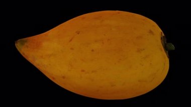 Şeffaf arkaplanda (alfa kanalı ile) yuvarlanan bir Canistel 'in (yumurta meyvesi, Tisa) gerçekçi canlandırması. Video kusursuz bir şekilde döngüye giriyor ve üç boyutlu nesne gerçek bir kutudan taranıyor..