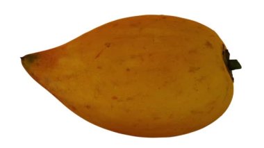 Beyaz arka planda yuvarlanan bir Canistel 'in (yumurta meyvesi, Tisa) gerçekçi canlandırması. Video kusursuz bir şekilde döngüye giriyor ve üç boyutlu nesne gerçek bir kutudan taranıyor..