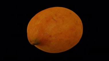 Şeffaf arkaplan üzerinde (alfa kanalı ile) dönen bir Canistel 'in (yumurta meyvesi, Tisa) gerçekçi canlandırması. Video kusursuz bir şekilde döngüye giriyor ve üç boyutlu nesne gerçek bir kutudan taranıyor..