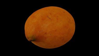 Siyah zemin üzerinde dönen bir Canistel 'in (Yumurta Meyvesi, Tisa) gerçekçi canlandırması. Video kusursuz bir şekilde döngüye giriyor ve üç boyutlu nesne gerçek bir kutudan taranıyor..