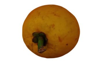 Beyaz arka planda dönen bir Canistel 'in (Yumurta Meyvesi, Tisa) gerçekçi canlandırması. Video kusursuz bir şekilde döngüye giriyor ve üç boyutlu nesne gerçek bir kutudan taranıyor..