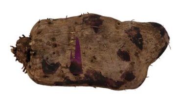 Beyaz zemin üzerinde yuvarlanan bir Purple Yam 'in (Ube) gerçekçi canlandırması. Video pürüzsüz bir şekilde döngüye giriyor ve üç boyutlu nesne gerçek bir yumrunun içinden taranıyor..