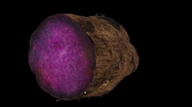 Dönen mor bir Yam 'ın (Ube) gerçekçi canlandırması siyah arkaplanda ikiye bölünmüş. Video pürüzsüz bir şekilde döngüye giriyor ve üç boyutlu nesne gerçek bir yumrunun içinden taranıyor..