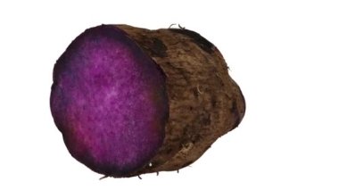 Dönen Purple Yam 'in (Ube) gerçekçi canlandırması beyaz arkaplanda ikiye bölündü. Video pürüzsüz bir şekilde döngüye giriyor ve üç boyutlu nesne gerçek bir yumrunun içinden taranıyor..