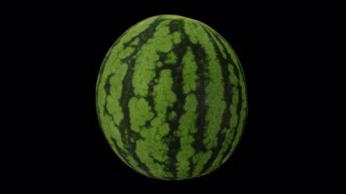 Şeffaf arkaplanda dönen bir karpuzun gerçekçi canlandırması (alfa kanalı ile). Video kusursuz bir şekilde döngüye giriyor ve 3 boyutlu nesne gerçek bir karpuzdan taranıyor..