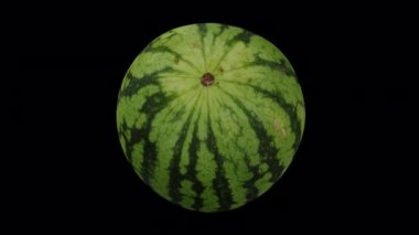 Şeffaf arkaplanda yuvarlanan bir karpuzun gerçekçi canlandırması (alfa kanalı ile). Video kusursuz bir şekilde döngüye giriyor ve 3 boyutlu nesne gerçek bir karpuzdan taranıyor..