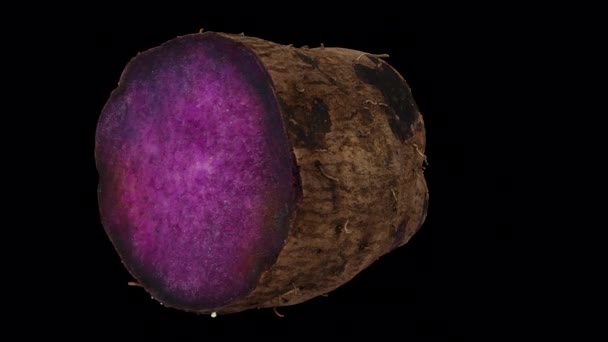 Реалістичний Рендеринг Обертового Пурпурового Яму Ube Розділеного Навпіл Прозорому Тлі — стокове відео