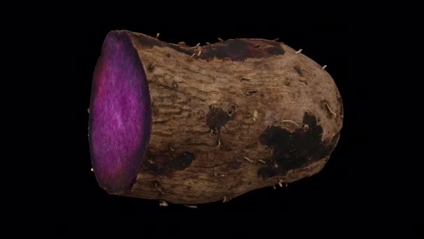 Реалистичный Рендеринг Катящегося Фиолетового Яма Ube Разрезанного Пополам Прозрачном Фоне — стоковое видео