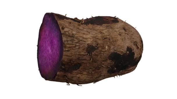 Realistic Render Rolling Purple Yam Ube Cut Half White Background — Stock Video