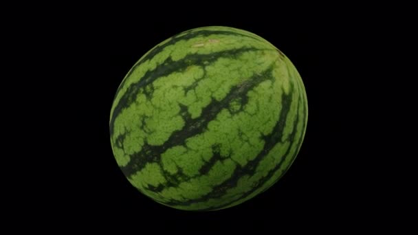 Realistische Darstellung Einer Rotierenden Wassermelone Auf Transparentem Hintergrund Mit Alphakanal — Stockvideo