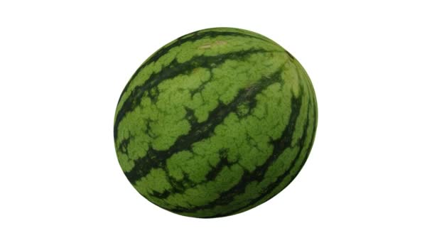Realistische Darstellung Einer Rotierenden Wassermelone Auf Weißem Hintergrund Das Video — Stockvideo