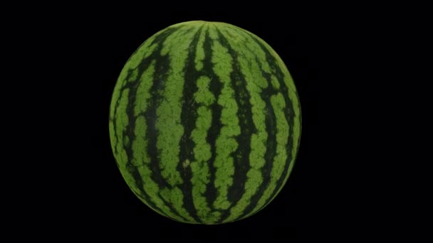 Realistic Render Spinning Cut Watermelon Transparent Background Alpha Channel Video — Stock Video