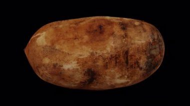 Şeffaf arka planda (alfa kanallı) yuvarlanan bir kesiğin gerçekçi canlandırması. Video kusursuz bir şekilde döngüye giriyor ve 3 boyutlu nesne gerçek bir yaton kökünden taranıyor..