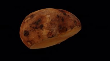 Şeffaf arkaplan üzerinde (alfa kanalı ile) dönen bir kesiğin gerçekçi canlandırması. Video kusursuz bir şekilde döngüye giriyor ve 3 boyutlu nesne gerçek bir yaton kökünden taranıyor..