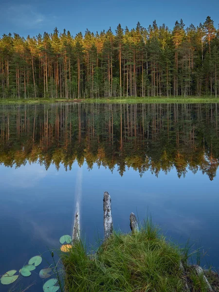 Finlandiya Daki Sipoonkorpi Milli Parkı Nda Jousjarvi Gölü Ormanı Sudaki — Stok fotoğraf