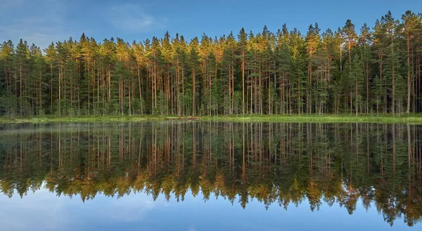 Озеро Жусярви Национальном Парке Сипункорпи Финляндии Отражение Леса Воде Голубое — стоковое фото