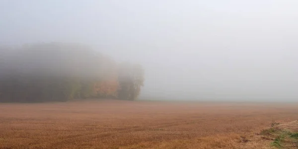 Nebel Tuusula Finnland Felder Wald Herbstfarben Keine Menschen — Stockfoto