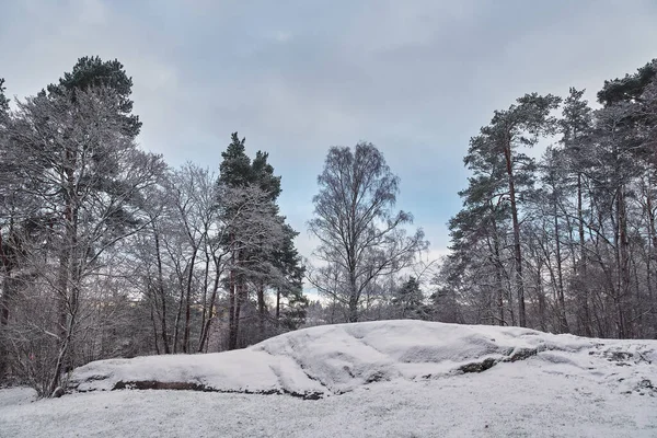 12月在Kerava的第一场雪 Aurinkomaki Hill 欧洲城镇 — 图库照片