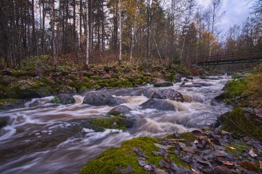 Finlandiya 'da Nukarinkoski' nin orman akıntıları üzerine aydınlık: güneşli Ekim günü.
