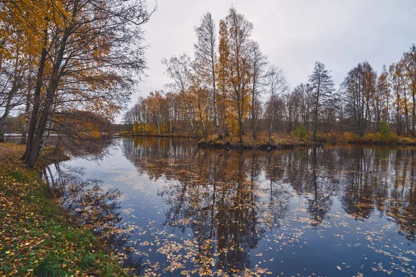 Χρυσό Φθινόπωρο Στο Πάρκο Πολύχρωμα Πεσμένα Φύλλα Στο Νερό Λίμνη — Φωτογραφία Αρχείου