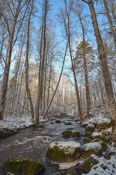 První Sníh Lesních Peřejích Finské Nukarinkoski Slunečný Říjnový Den — Stock fotografie