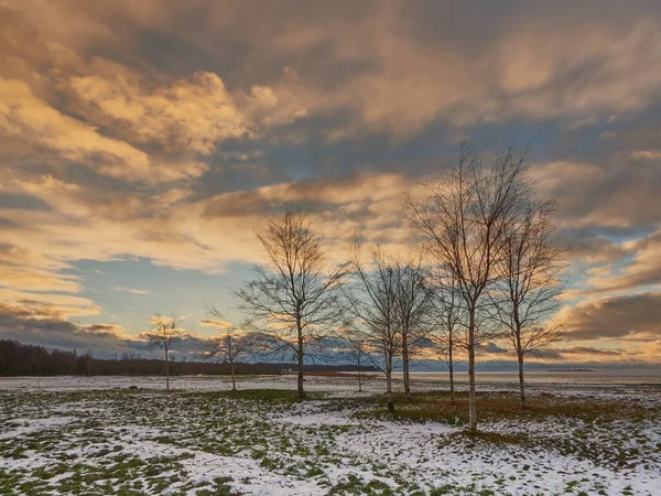 Thaw December Winter Sestroretsk Warm Clouds Coast Gulf Finland — Stockfoto