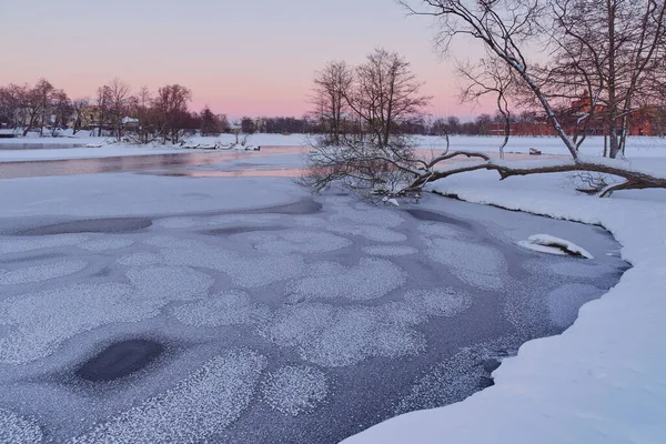 Lake Dam Winter January Sunset Sestroretsk Shore Fallen Tree Old — Foto de Stock