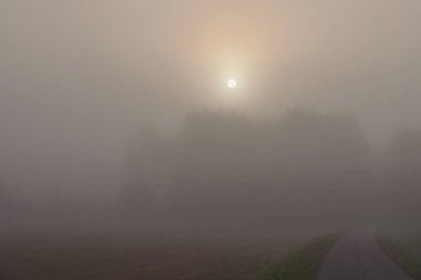 Finlandiya, Tuusula 'da sis: tarlalar, orman, derin sis, güneş.