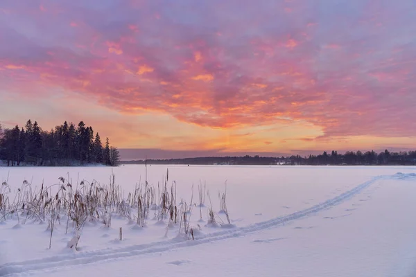 Χειμερινό Ηλιοβασίλεμα Κοντά Στη Φινλανδική Λίμνη Τουουσούλα Ακτή Χιόνι Στον — Φωτογραφία Αρχείου