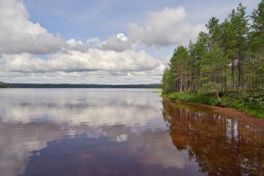 Patvinsuo National Park in Finland: Northern European nature, Suomunjarvi lake.