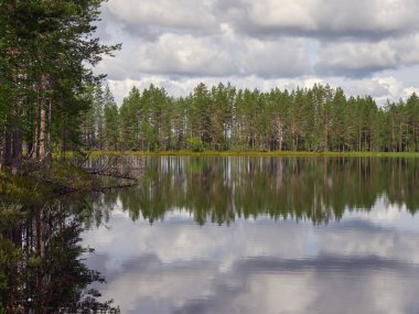 Patvinsuo National Park in Finland: Northern European nature, Suomunjarvi lake.