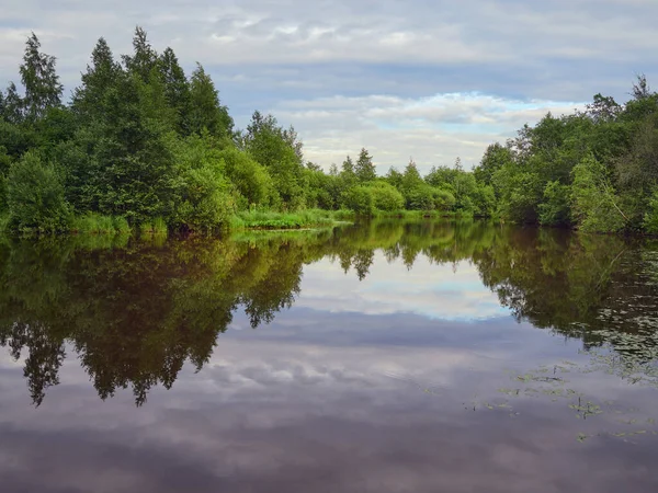 Δάσος Ποταμού Στη Βόρεια Ευρώπη Καλοκαίρι Πολύχρωμα Σύννεφα — Φωτογραφία Αρχείου