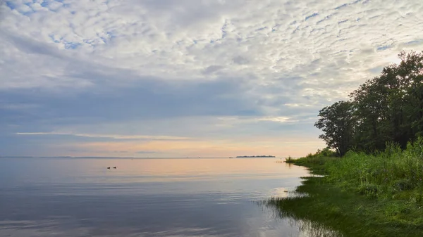Coast Gulf Finland Baltic Sea Calm Sunset Clouds Idyll Dubki — Fotografia de Stock