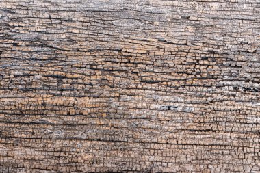 Eski ahşap doku detaylarının yakın plan fotoğrafları.