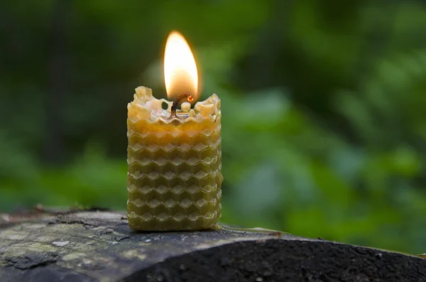 Горящая свеча на старом бревне — стоковое фото