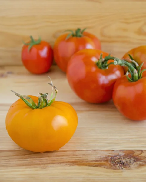 Tomat kuning dan merah — Stok Foto