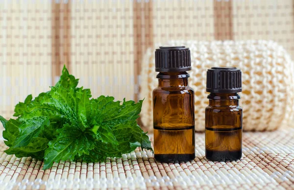 Piccola Bottiglia Con Olio Essenziale Menta Foglie Menta Fresca Chiudono — Foto Stock