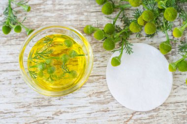 Kozmetik papatya yağı ve pamuklu küçük cam kase. Doğal spa ve güzellik tedavi tarifi. Üst görünüm, alanı kopyala. 