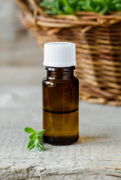 Piccola Bottiglia Con Olio Essenziale Ingredienti Aromaterapia Spa Fitoterapia Vecchio — Foto Stock