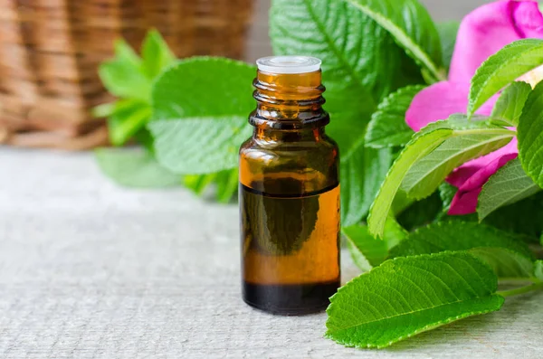 배경에는 추출물 혼합유 병들이 Aromatherapy Spa Herbal Mediction 로열티 프리 스톡 사진