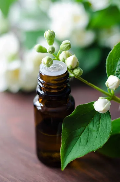 Small Glass Bottle Essential Jasmine Oil Perfume Tincture Infusion Aromatherapy — Stock Photo, Image