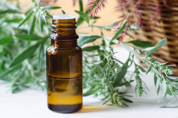 Small bottle with essential wormwood oil (extract, tincture, infusion).  Aromatherapy, spa and herbal medicine concept. Copy space.