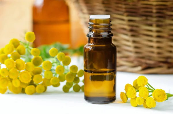 Kleine Flasche Mit Ätherischem Blauen Stiefmütterchenöl Extrakt Tinktur Aufguss Aromatherapie — Stockfoto